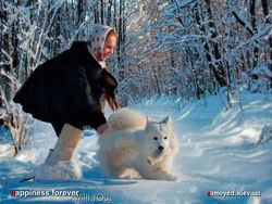 Зимние игры с самоедом