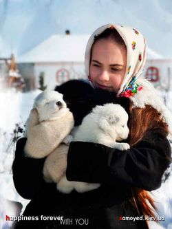 Наши щенки самоеда